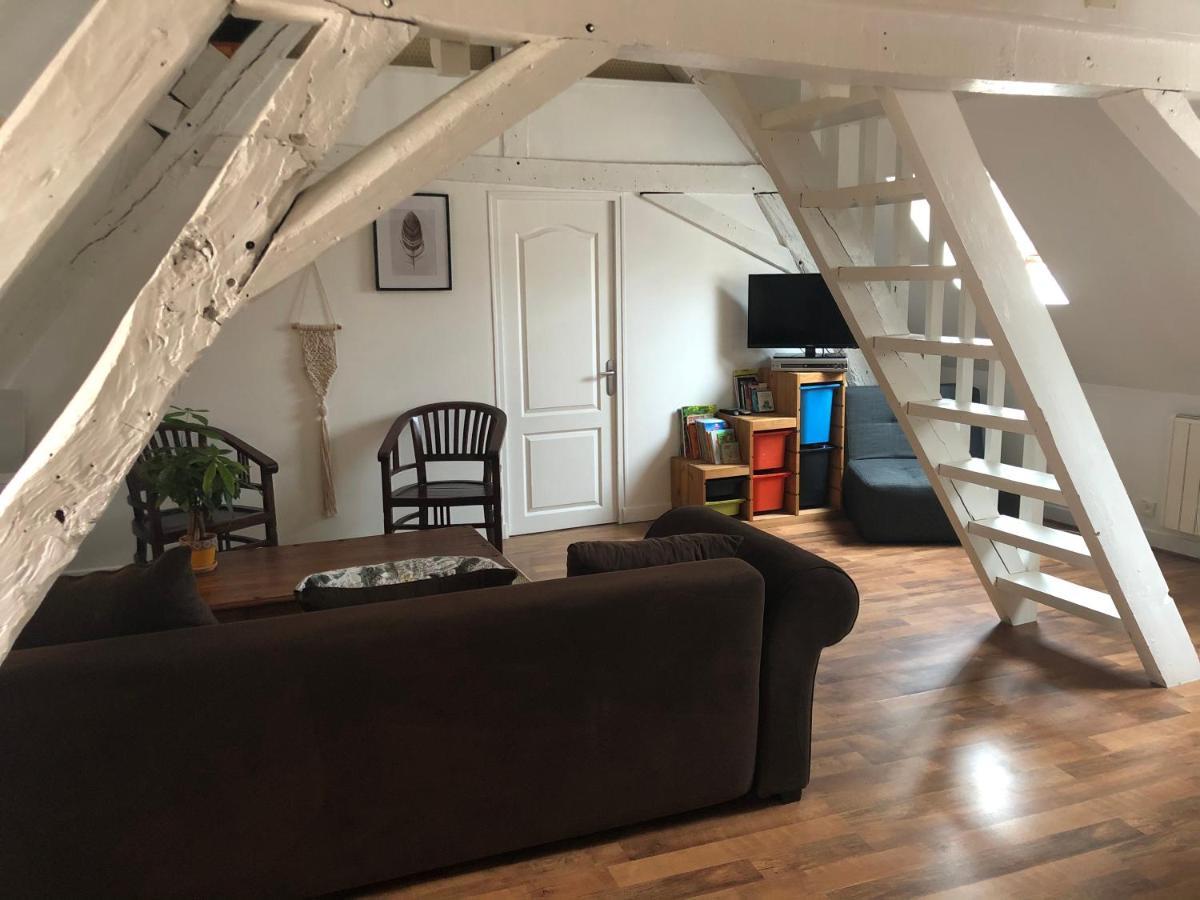 Le Grand Appartement - 90M2- 2 Chb , 1 Mezzanine - 6Pers 罗莫朗坦 外观 照片